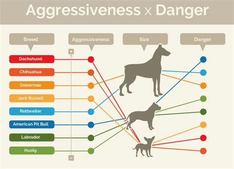 Dog Aggression By Breed